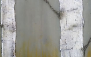 Thumbnail Placeholder
